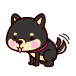 柴犬のイラスト（黒毛）