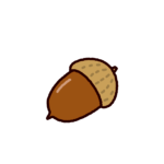 どんぐりのイラスト