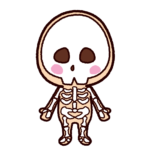 骨のイラスト（骨格）