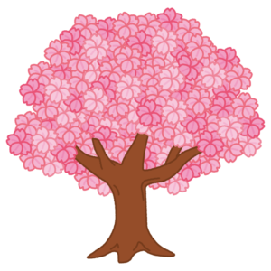 満開の桜の木のイラスト