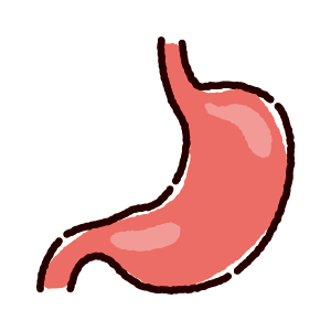 胃のイラスト（内臓・臓器）（2カラー）
