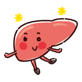 元気な肝臓のキャラクターイラスト（健康な臓器）