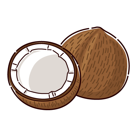 ココナッツのイラスト（茶色・ヤシの実）