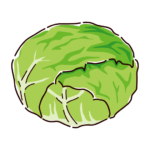 レタスのイラスト