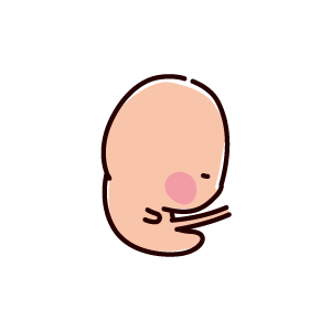 胎児のイラスト（1ヶ月、4週間）