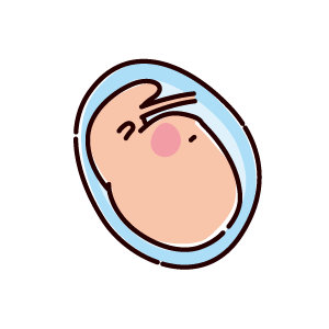 胎児のイラスト（1ヶ月、4週間）（2カラー）