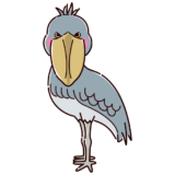 ハシビロコウのイラスト