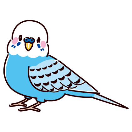 かわいいセキセイインコのイラスト（6カラー）