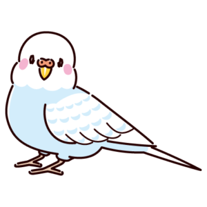 セキセイインコのイラスト
