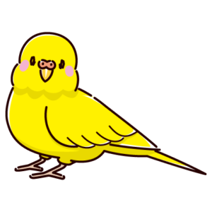 セキセイインコのイラスト