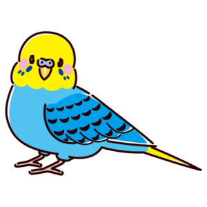 セキセイインコのイラスト