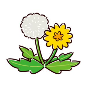 かわいいたんぽぽのイラスト