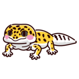 ヒョウモントカゲモドキのイラスト