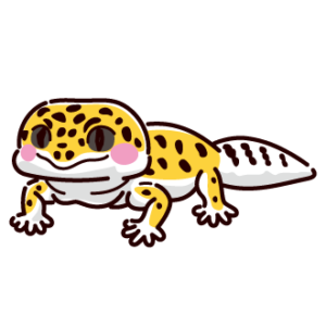 ヒョウモントカゲモドキのイラスト