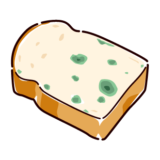 カビの生えた食パンのイラスト