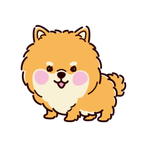 ポメラニアンのイラスト(全身・正面・オレンジ)