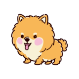 ポメラニアンのイラスト（全身・ななめ・オレンジ）